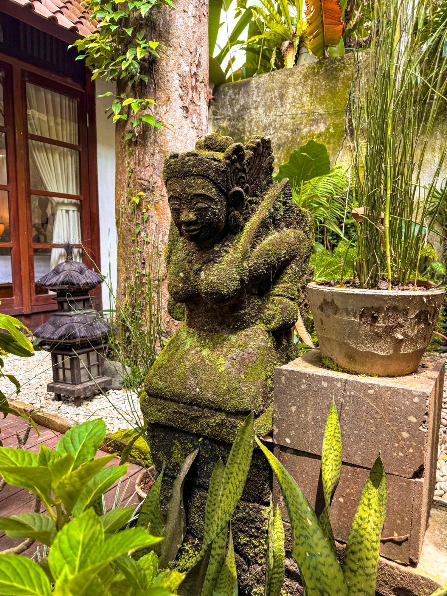 Bali Maison Ubud Kültér fotó