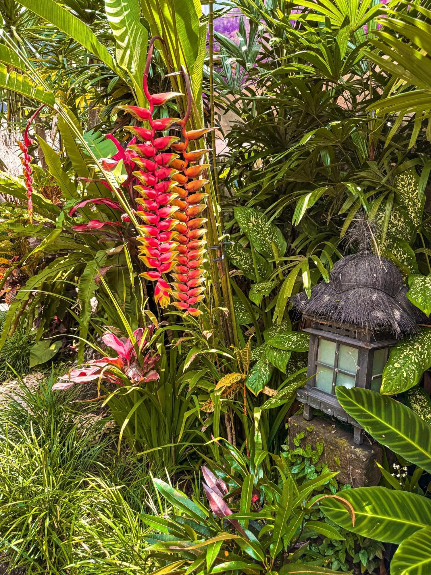 Bali Maison Ubud Kültér fotó